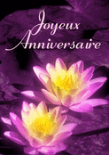 Fleurs enchanteresses pour un joyeux anniversaire